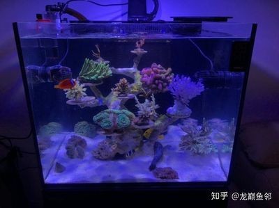 如何計算魚缸的過濾效能：如何計算魚缸過濾效能