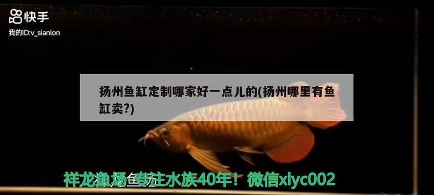 江彩魚(yú)缸生產(chǎn)廠家地址查詢：關(guān)于“江彩魚(yú)缸生產(chǎn)廠家地址查詢?cè)斍椤钡脑敿?xì)信息
