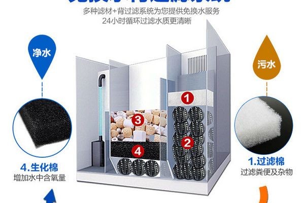 魚缸過濾棉使用視頻：魚缸過濾棉使用視頻展示了如何安裝和維護魚缸中的過濾棉 魚缸過濾棉使用視頻：魚缸過濾棉使用視頻展示了如何安裝和維護魚缸中的過濾棉 魚缸百科 第4張