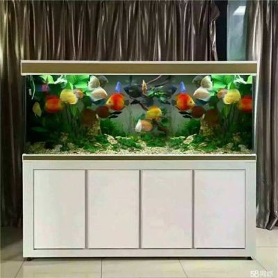 觀賞型魚缸造景藝術之旅探索觀賞型魚缸造景的藝術之旅：水族箱造景的藝術之旅