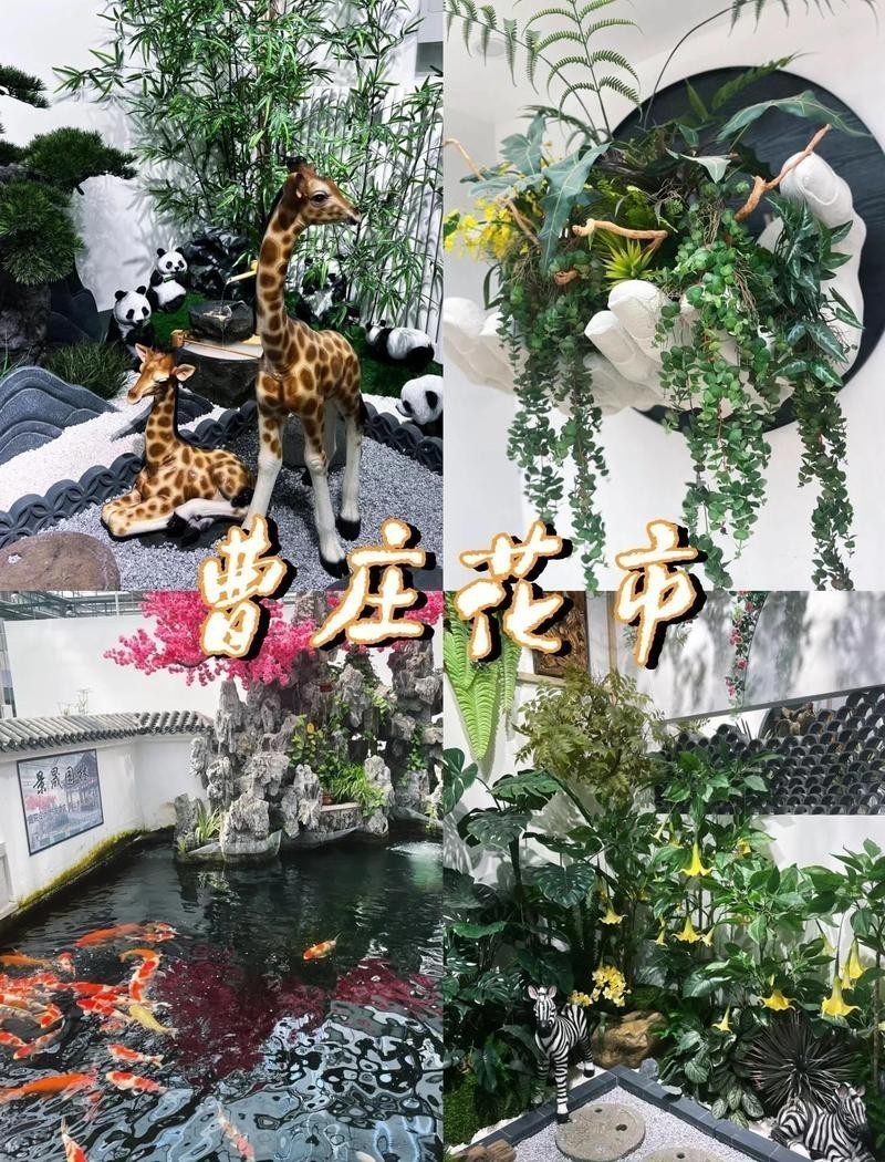 天津哪里有賣雷龍魚的地方