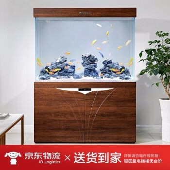 缸內(nèi)無管件的魚缸怎么樣（無管件魚缸的優(yōu)點(diǎn)和安全隱患）