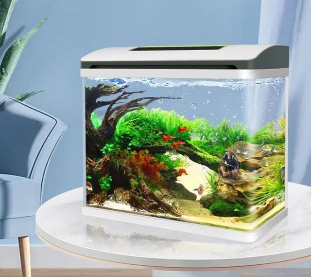 魚缸哪種品牌好（魚缸哪種品牌好魚缸哪種品牌好） 魚缸哪種品牌好（魚缸哪種品牌好魚缸哪種品牌好） 魚缸百科 第4張