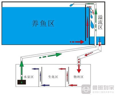 開州區天杰水族店（開州區天杰水族店電話） 開州區天杰水族店（開州區天杰水族店電話） 全國水族館企業名錄