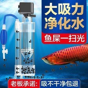 魚缸生態系統揭秘魚缸生態系統揭秘魚缸生態系統揭秘：底濾魚缸生態系統揭秘魚缸生態系統揭秘魚缸生態系統