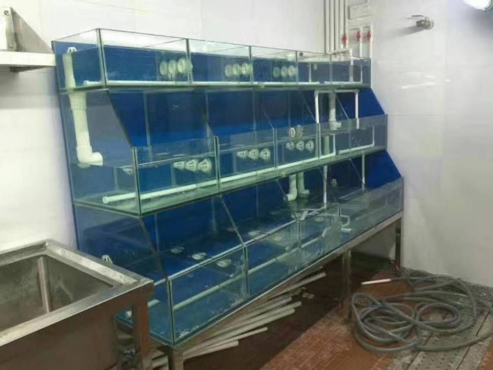 魚缸里的故事實驗室：“魚缸里的故事實驗室”是一個多維度、跨領域的概念 魚缸里的故事實驗室：“魚缸里的故事實驗室”是一個多維度、跨領域的概念 魚缸百科 第2張