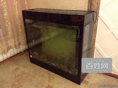海之境魚缸的優(yōu)勢：海之境魚缸是一家專注于水族器材用品是一家專注于水族器材用品 海之境魚缸的優(yōu)勢：海之境魚缸是一家專注于水族器材用品是一家專注于水族器材用品 魚缸百科 第1張