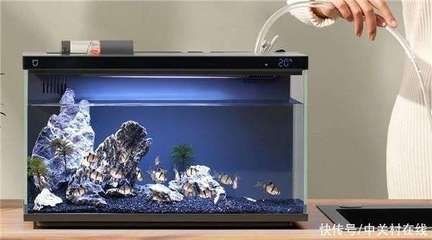 魚缸出現(xiàn)白色絮狀物是怎么回事？：魚缸中的白色絮狀物可能是由多種原因引起的