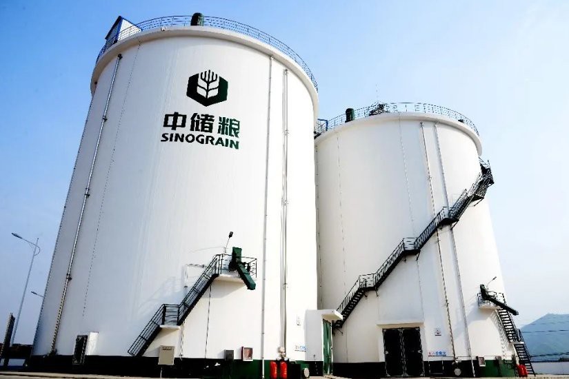 金龍魚與中儲糧的合作對雙方有何影響？