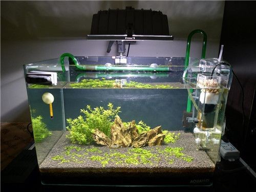 魚缸濾材如何使用：魚缸濾材擺放順序圖解
