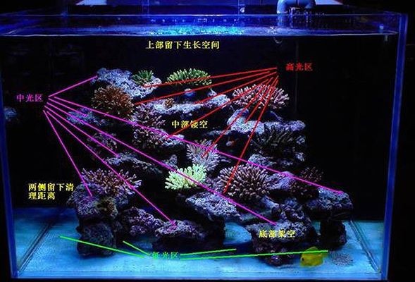 海沙能不能放魚缸里造景（海沙可以放入魚缸進行造景）