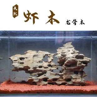蝦木魚缸造景：蝦木魚缸造景搭配技巧蝦木魚缸造景搭配技巧