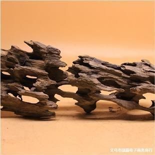 蝦木魚缸造景：蝦木魚缸造景搭配技巧蝦木魚缸造景搭配技巧
