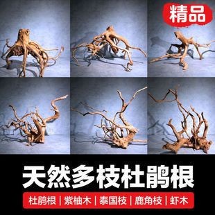 蝦木魚缸造景：蝦木魚缸造景搭配技巧蝦木魚缸造景搭配技巧