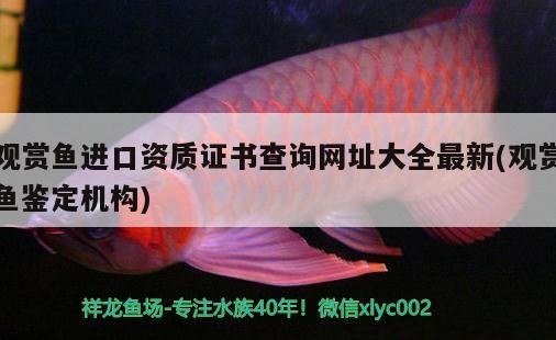 伊寧市巧緣辦公用品店