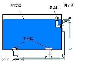 底濾強(qiáng)排是魚缸過濾系統(tǒng)的一部分用于排除過濾倉中的污垢：使用底濾強(qiáng)排排空魚缸水的具體步驟