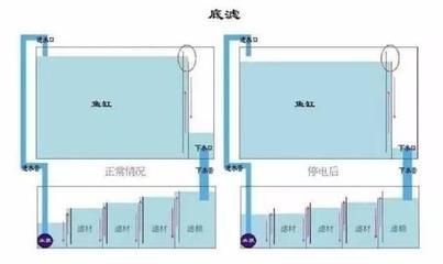 底濾強(qiáng)排是魚缸過濾系統(tǒng)的一部分用于排除過濾倉中的污垢：使用底濾強(qiáng)排排空魚缸水的具體步驟