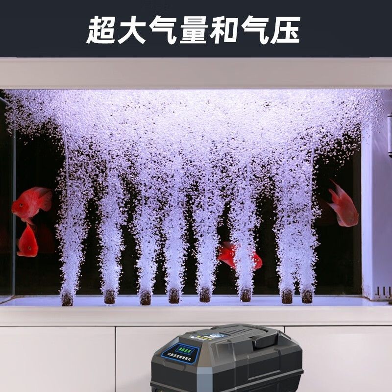 調節海鮮魚缸溫度的方法是一些調節方法的優缺點：如何調節海鮮魚缸溫度