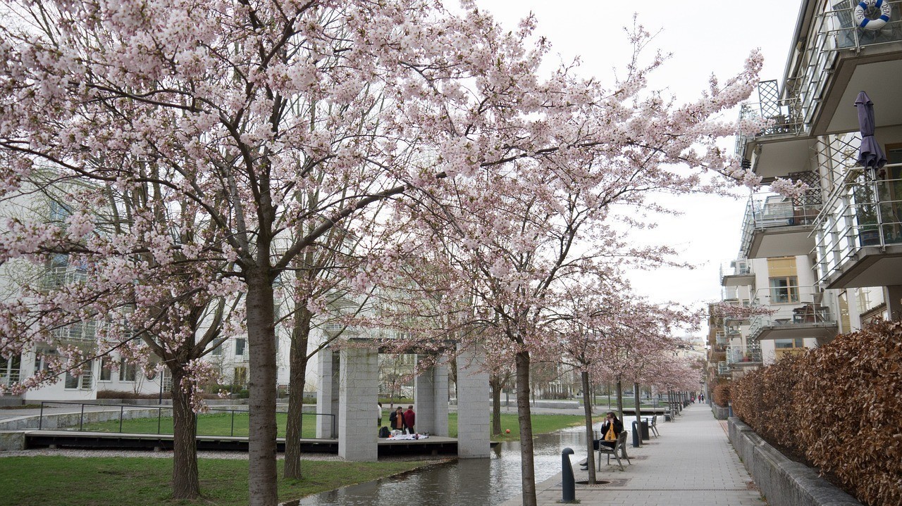 南京市下關區翔麗園藝服務中心（南京翔宇花園屬于哪個社區） 南京市下關區翔麗園藝服務中心（南京翔宇花園屬于哪個社區） 全國水族館企業名錄 第3張