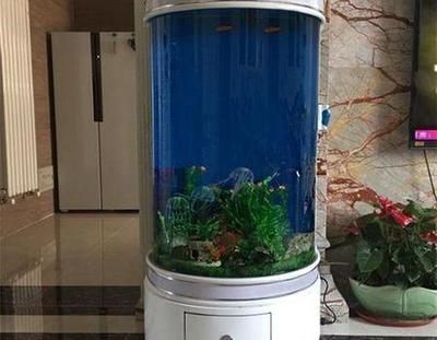 桌面魚缸擺放位置（桌面魚缸擺放位置的風水建議） 桌面魚缸擺放位置（桌面魚缸擺放位置的風水建議） 魚缸百科 第2張