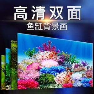 黑色的魚缸背景畫好看嗎（黑色的魚缸背景畫可以增加魚缸的整體美感使魚的顏色更加鮮艷）