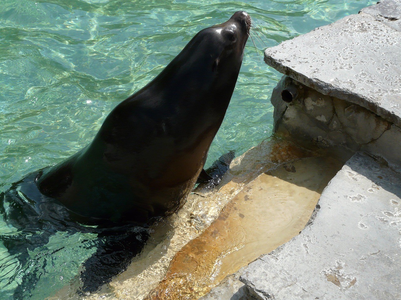 上海市楊浦區毛胡子水族館