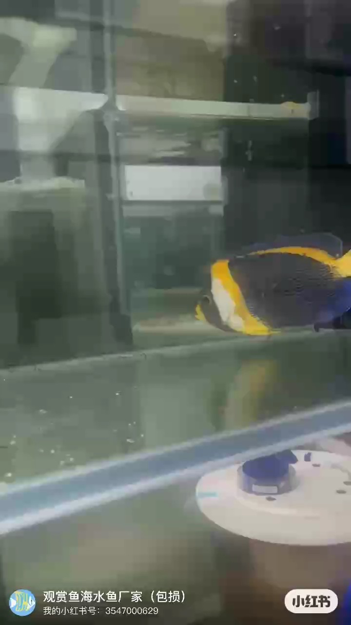 特價3500