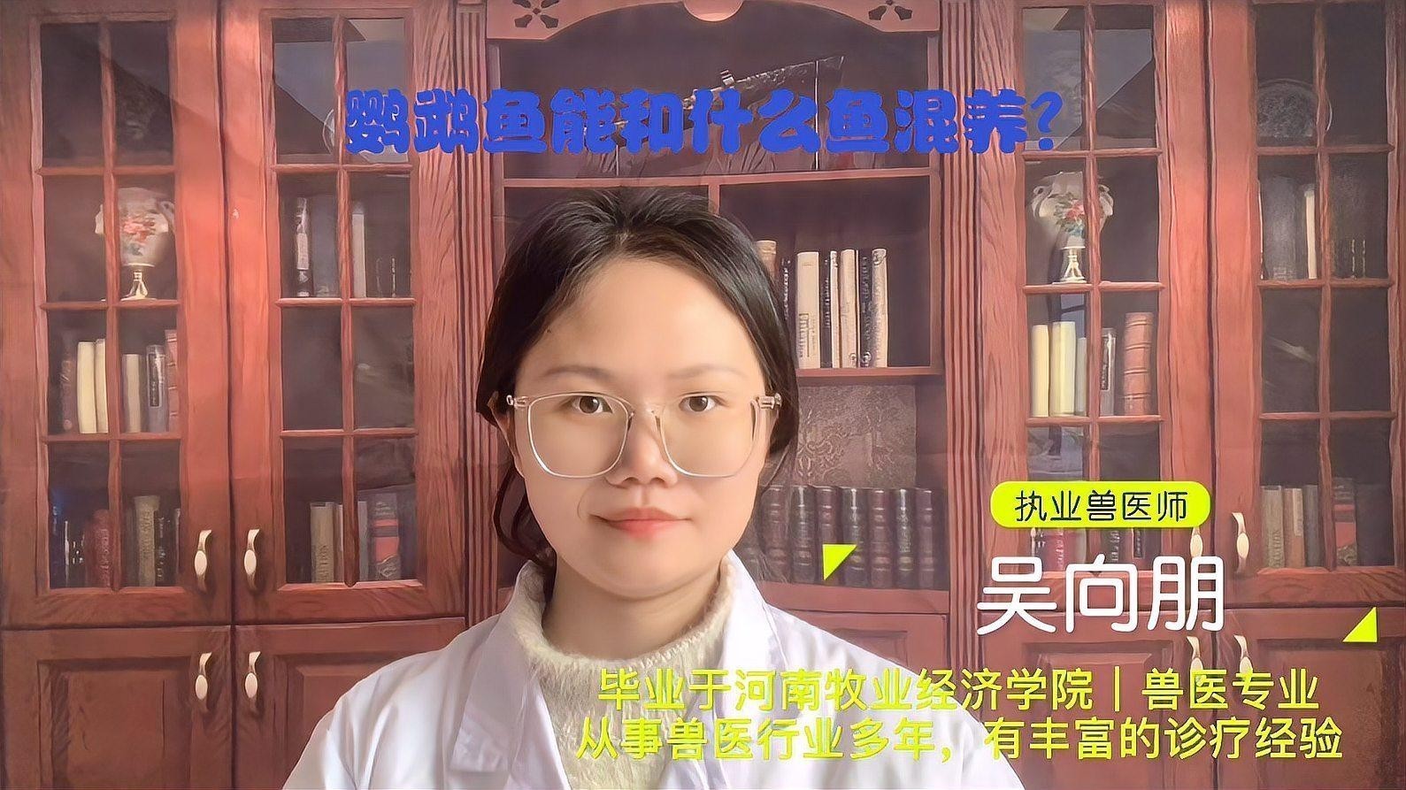 銀龍魚和鸚鵡魚混養(yǎng)吃什么魚食好養(yǎng)