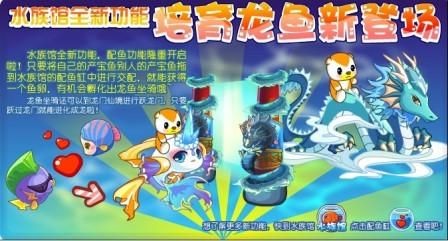 奧比島水族館龍魚（《奧比島》手游游戲中龍魚位置介紹）