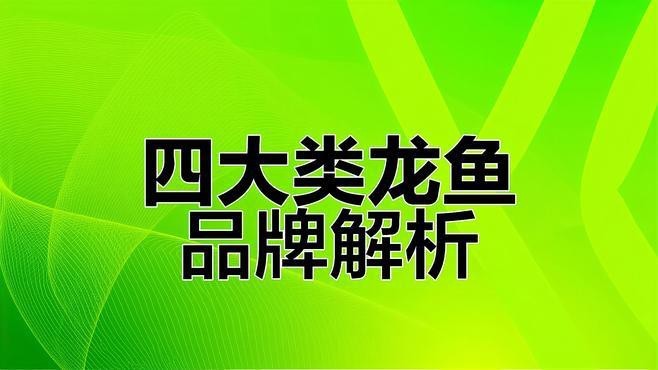 萬巔龍魚怎么樣