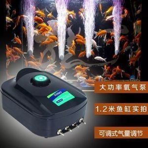 松寶魚缸增氧泵:松寶增氧泵與競品對比,如何選擇適合魚缸的增氧泵? 魚缸百科 第4張 松寶魚缸增氧泵:松寶增氧泵與競品對比,如何選擇適合魚缸的增氧泵? 松寶魚缸增氧泵:松寶增氧泵與競品對比,如何選擇適合魚缸的增氧泵? 魚缸百科 第4張
