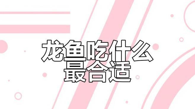 白金龍魚吃什么長得快一點