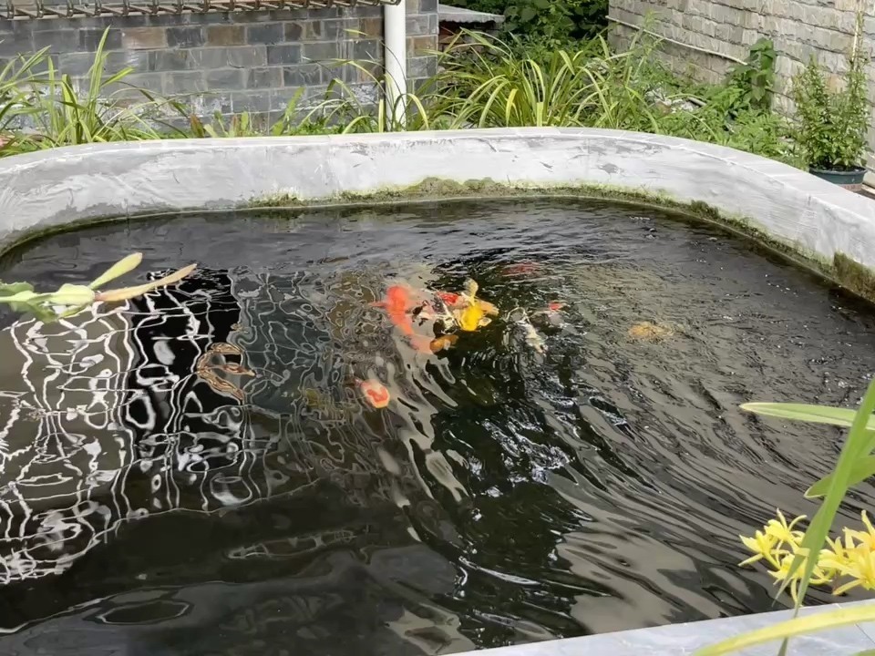 愜意