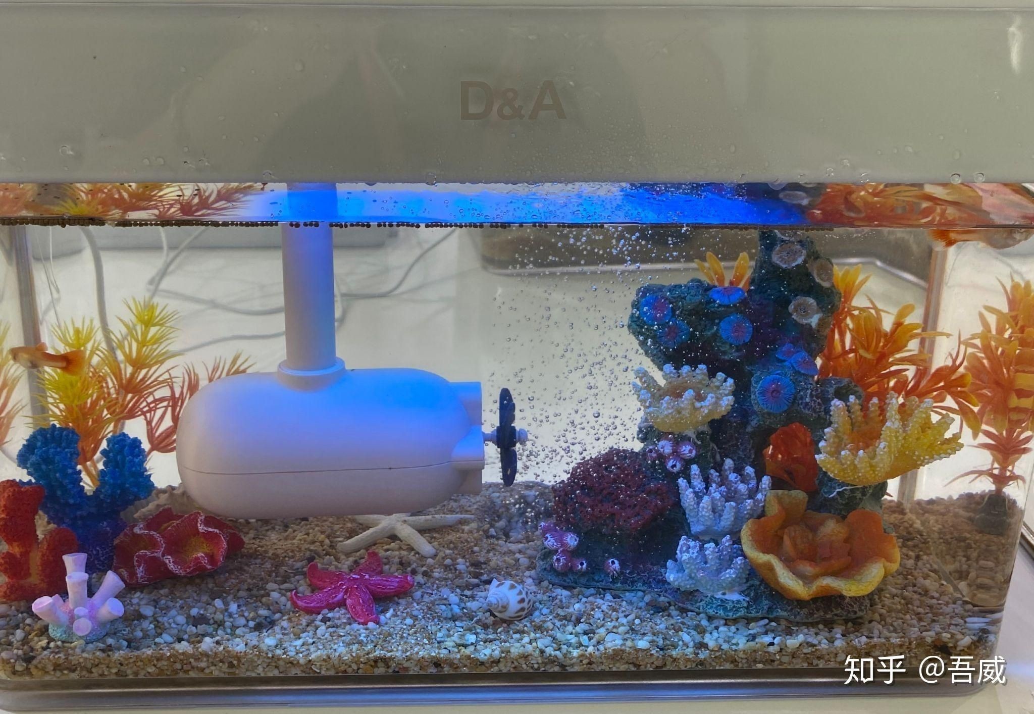 高端魚缸品牌推薦知乎：森森sunsun、博宇boyu等高端魚缸品牌推薦