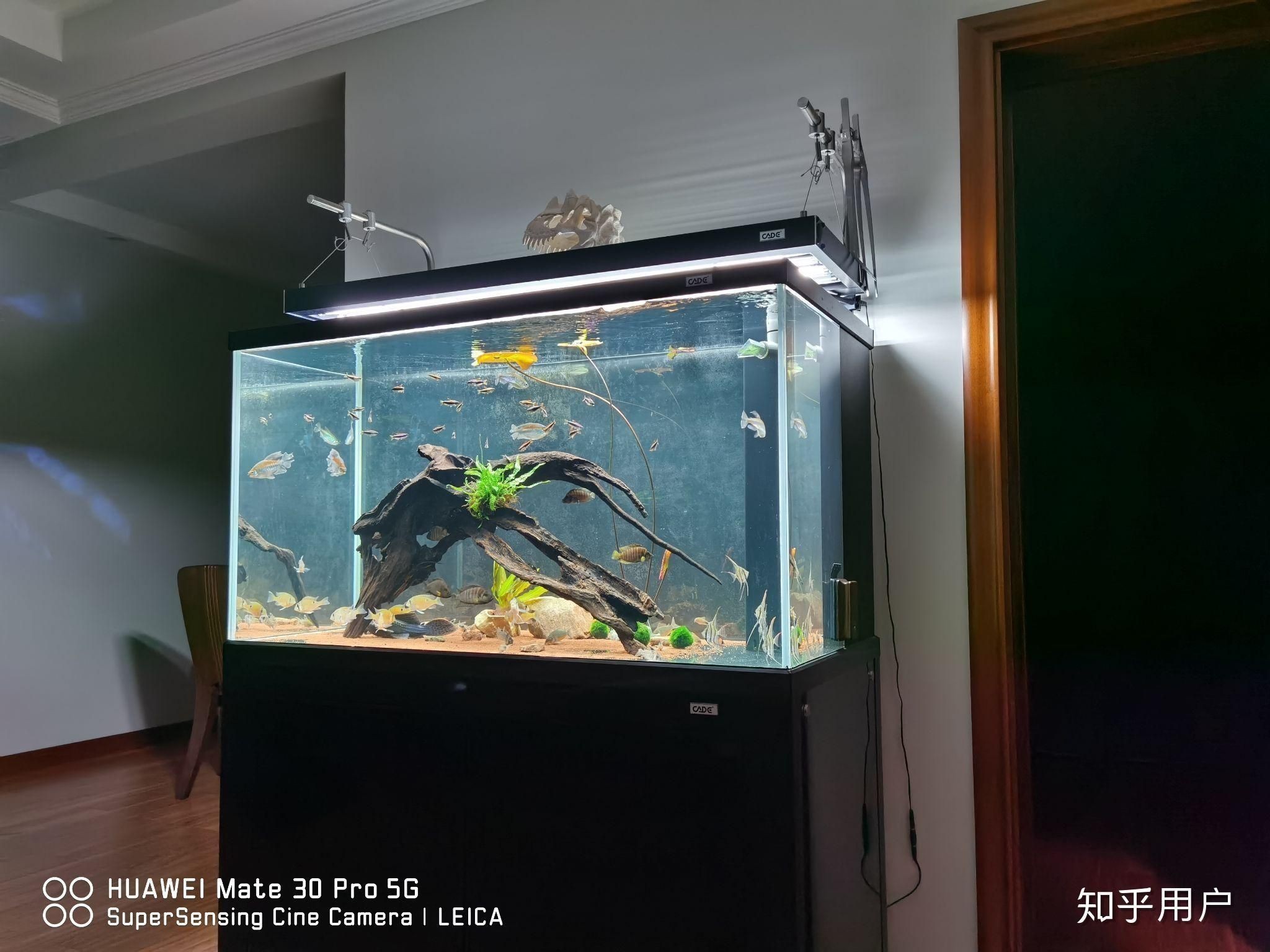 高端魚缸品牌推薦知乎：森森sunsun、博宇boyu等高端魚缸品牌推薦