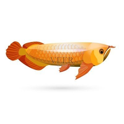 龍魚(yú)矢量圖：你想找的是龍魚(yú)相關(guān)的矢量圖素材嗎以下是一些可能對(duì)你有用的網(wǎng)站和資源