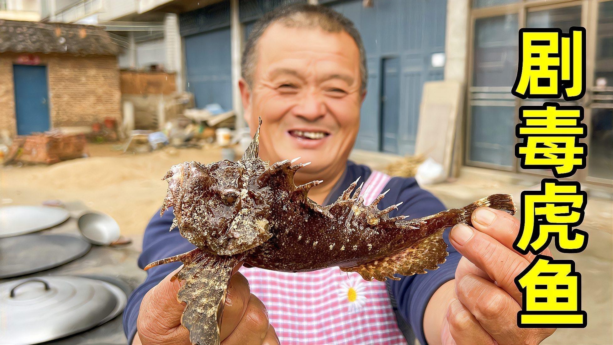 推薦一些適合新手混養(yǎng)的龍魚(yú)配魚(yú)