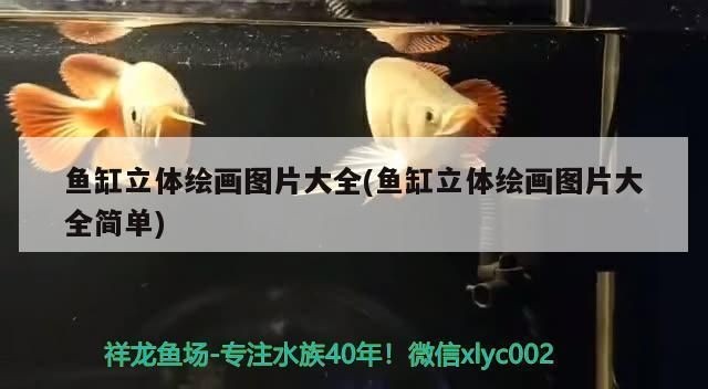 魚缸圖片繪畫簡單，兒童魚缸繪畫步驟