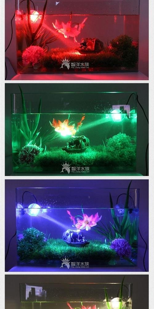 龍魚燈擺放圖片高清版