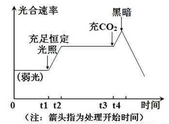 龍魚喂什么長(zhǎng)的快一點(diǎn)好養(yǎng)（龍魚喂養(yǎng)常見誤區(qū)解析龍魚的喂食策略對(duì)龍魚的影響）