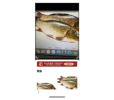 魚缸百度網盤TXT下載：“魚缸”百度網盤txt下載詳情以下是一些相關的網址和信息 魚缸百度網盤TXT下載：“魚缸”百度網盤txt下載詳情以下是一些相關的網址和信息 魚缸百科 第4張