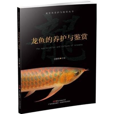 龍魚(yú)的選擇和鑒賞作文300字：如何選擇和鑒賞龍魚(yú)