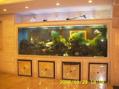 如何在呼和浩特市尋找一個既便宜實惠又好用的魚缸:呼和浩特花鳥魚蟲市場diy魚缸水質(zhì)管理技巧和技巧 魚缸百科 第1張 如何在呼和浩特市尋找一個既便宜實惠又好用的魚缸:呼和浩特花鳥魚蟲市場diy魚缸水質(zhì)管理技巧和技巧 如何在呼和浩特市尋找一個既便宜實惠又好用的魚缸:呼和浩特花鳥魚蟲市場diy魚缸水質(zhì)管理技巧和技巧 魚缸百科 第1張