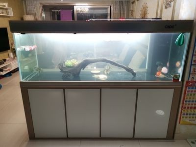彩蝶TBF魚缸怎么調出水口，彩蝶tbf魚缸出水口的調整方法