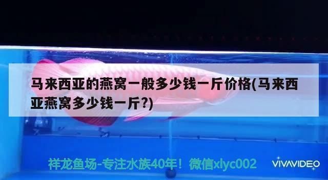 一米魚缸用多厚的玻璃合適：魚缸玻璃安全加固方法介紹魚缸安全加固方法介紹 一米魚缸用多厚的玻璃合適：魚缸玻璃安全加固方法介紹魚缸安全加固方法介紹 魚缸百科 第5張
