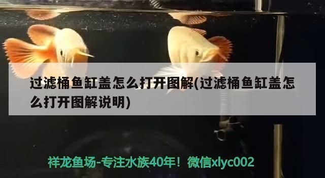 有蓋的魚缸怎么拆蓋：如何清洗魚缸蓋，魚缸蓋材質選擇指南,不同魚缸蓋設計比較