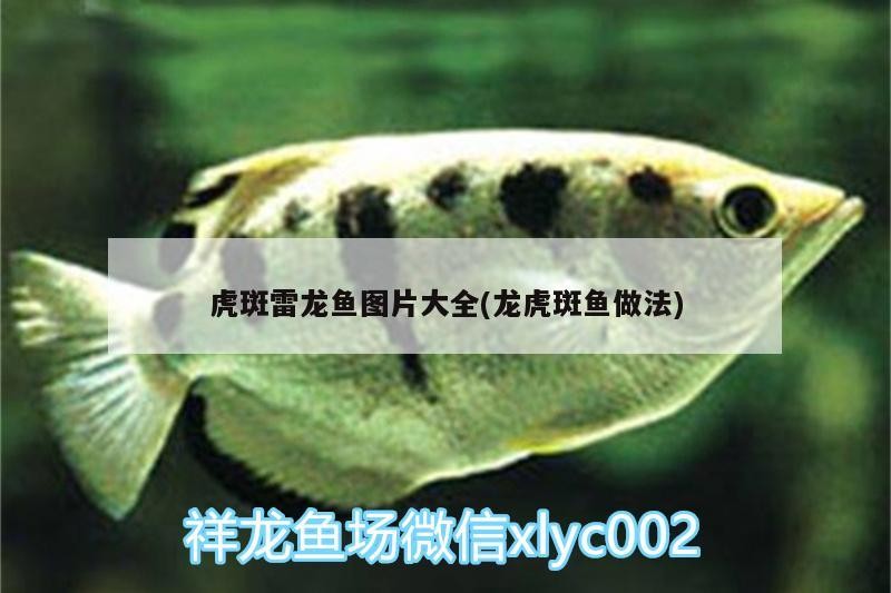 鼓樓區汶娜觀賞魚水族店 鼓樓區汶娜觀賞魚水族店 全國水族館企業名錄 第1張