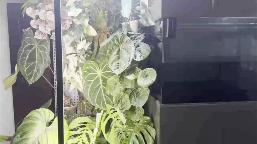 半年的蛻變