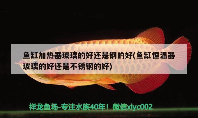 瀛漁樂水族館海洋生物展覽互動(dòng)體驗(yàn)項(xiàng)目教育意義（廣州市天河區(qū)黃村瀛漁樂水族館海洋生物展覽互動(dòng)體驗(yàn)項(xiàng)目教育意義）