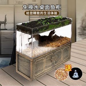 魚缸布局對魚類行為的影響：魚缸布局對魚的游泳行為有顯著影響 魚缸布局對魚類行為的影響：魚缸布局對魚的游泳行為有顯著影響 魚缸百科 第5張